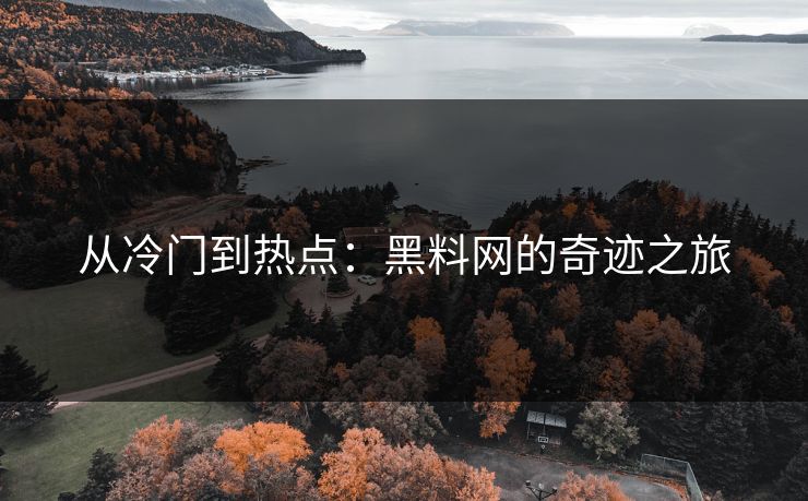 从冷门到热点:黑料网的奇迹之旅 第1张 从冷门到热点:黑料网的奇迹之旅 第1张