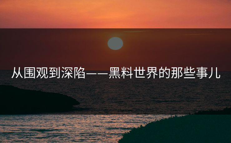 从围观到深陷——黑料世界的那些事儿 第1张 从围观到深陷——黑料世界的那些事儿 第1张