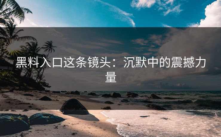 黑料入口这条镜头:沉默中的震撼力量 第1张 黑料入口这条镜头:沉默中的震撼力量 第1张